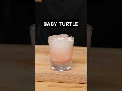 The Baby Turtle from Trick Dog