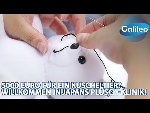 Plüschpatienten unter OP-Lampe: Galileo besucht die Kuscheltier-Klinik! 🧸🔧🧡