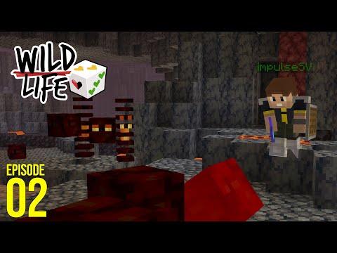 Getting Ahead of It! | Wild Life Episode 02