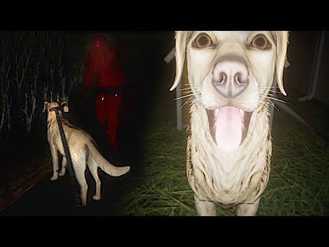 Horror Game Where You Walk Your Dog At Night & People Follow You - The Paddy Field ALL ENDINGS