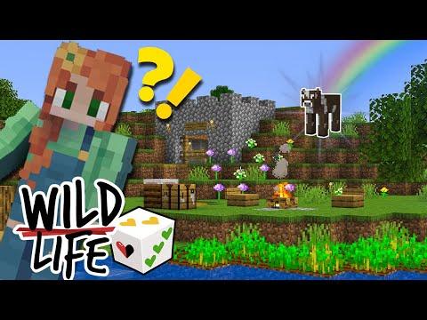 There is Drama Already... Wild Life - Episode 1