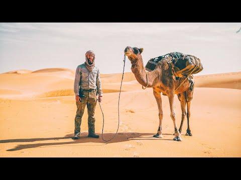 8 Tage durch die Sahara - Wüsten DSÜ mit Kamelen | Teil 1