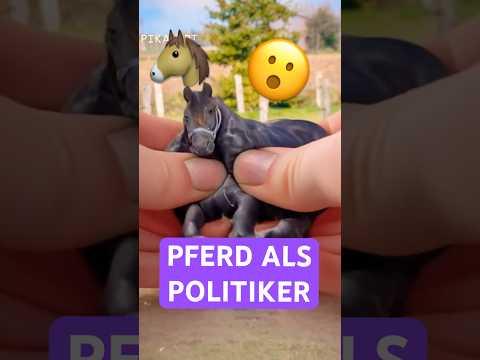 Ein Pferd als Politiker?!