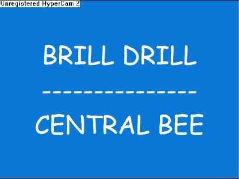 BRILL DRILL - CENTRAL BEE | ONLYFANGS DISS TRACK