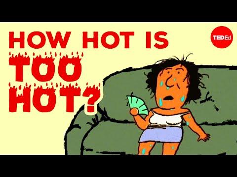 How does extreme heat affect your body? - Carolyn Beans