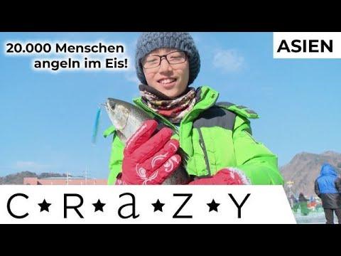 MASSEN-FISCHFANG neu interpretiert: In Südkorea ist Eis-Fischen beliebt! | CRAZY...Asien |Kabel Eins