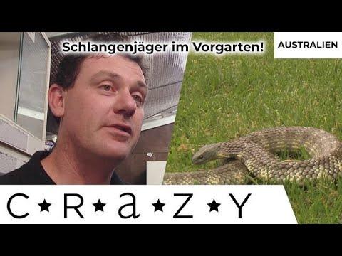 GIFTSCHLANGEN-ALARM! 🐍 Crazyness aus Down Under: Platz 8 bis 5 | CRAZY...Australien | Kabel Eins