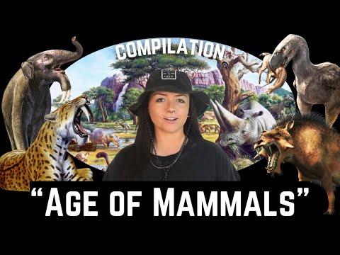 The Cenozoic Era (That We Know Of) Age of Mammals COMPILATION | Lindsay Nikole