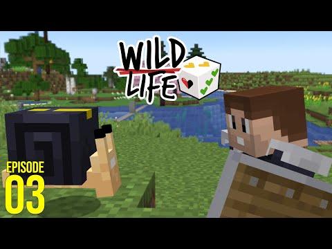 Cute But Deadly! | Wild Life Episode 03