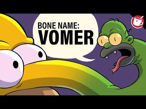 Turning Bone Names Into Characters