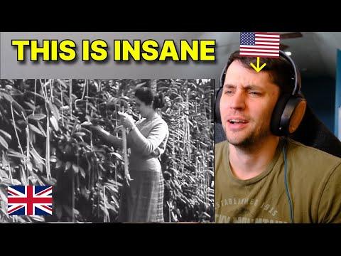 American reacts to that time the BBC made brits think spaghetti grows in trees