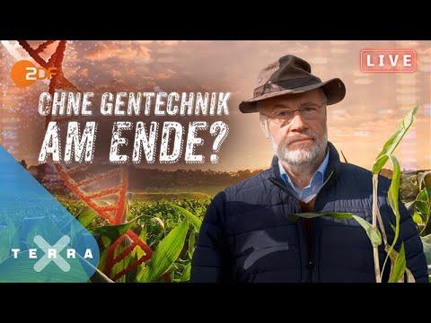 Können profitable Landwirtschaft, Klimaschutz und ein reiches und gesundes Ernährungsangebot in Deutschland gemeinsam funktionieren? 🎑
➡️ https://www.zdf.de/dokumentation/terr...  ⬅️
Zusammen mit seinen Gästen diskutiert Harald am Donnerstag hier auf YouTube über die Zukunft der Landwirtschaft und die wissenschaftlichen und ethischen Hintergründe zur Gentechnik. Welche Chancen – und welche Gefahren – bringen neue Mutationen auf den Acker? Hat Landwirtschaft in Deutschland noch eine Zukun