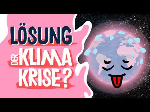 Gute Nachrichten beim Klimaschutz? Laut Agora Energiewende haben sich die deutschen Emissionen gegenüber 1990 halbiert. Das haben wir vor allem dem Stromsektor zu verdanken. Warum Ökostrom allein aber nicht ausreicht und wir alle Sektoren in den Blick nehmen müssen, zeigen wir in diesem Video: